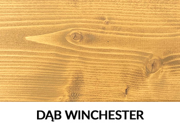 pasek dąb wichester